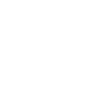 icon-sauge